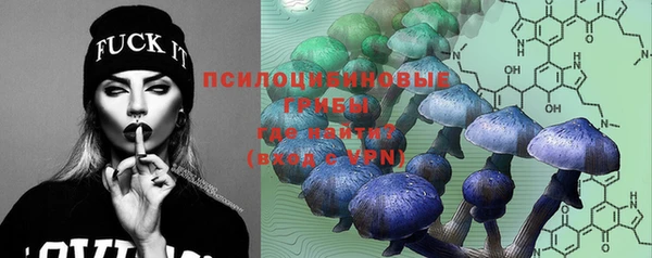 винт Алексин