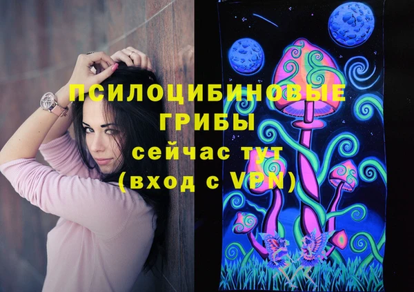 винт Алексин