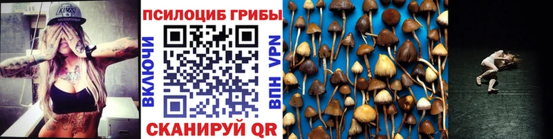 Псилоцибиновые грибы мухоморы  купить наркотик  Муром 